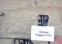 Goodbye WTO
