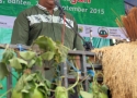 hari_tani_nasional_banten_04_Ketua_Panitia_Agus_Ruli_Ardiansyah