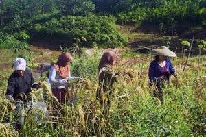 Petani Penggarap Serikat Petani Indonesia
