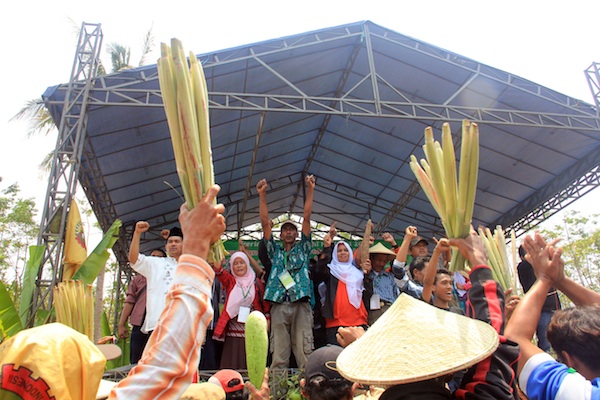Hari Tani Nasional 2015_Desa Cihanjuang Cibaliung Pandeglang Banten_resize