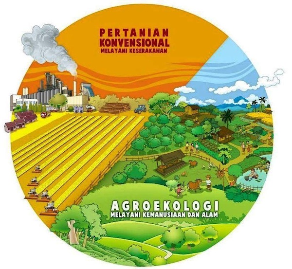 agroekologi