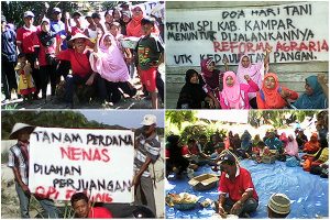 hari tani nasional 2016 di Riau
